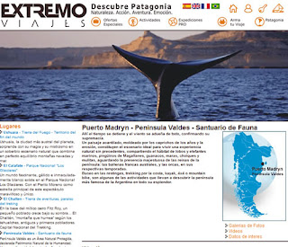 Extremo Patagonia promociona Avistajes de Ballena en Península Valdés