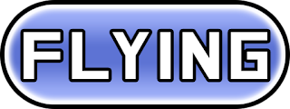 Flying Pokemon logo