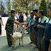 Penyerahan Hewan Qurban Makorem 084/BJ kepada yang Berhak