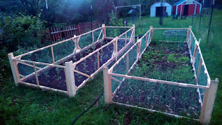 Two adjacent garden beds with short wood and chicken wire fences surrounding each.