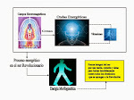 Energía Morfogenética