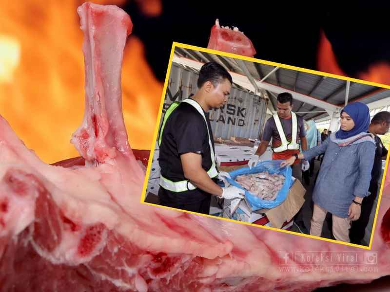 Cara Mengenal Pasti Membezakan Antara Daging Babi Dan Daging Kambing Dr Taufiq Razif Kini Trending