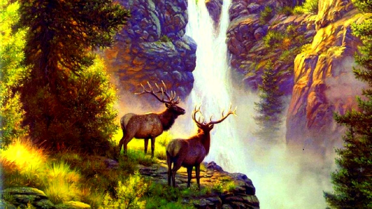 Elk Nature Hd Wallpaper