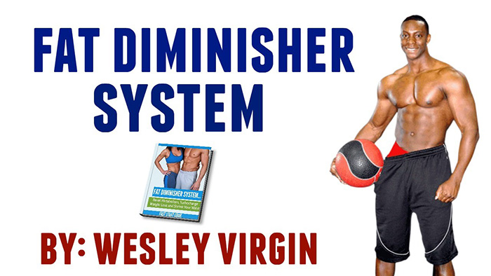 FAT DIMINISHER SYSTEM