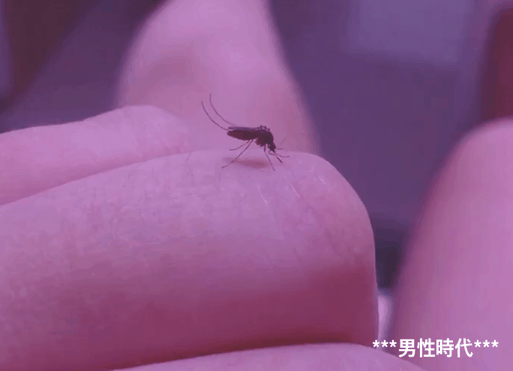 1.gif