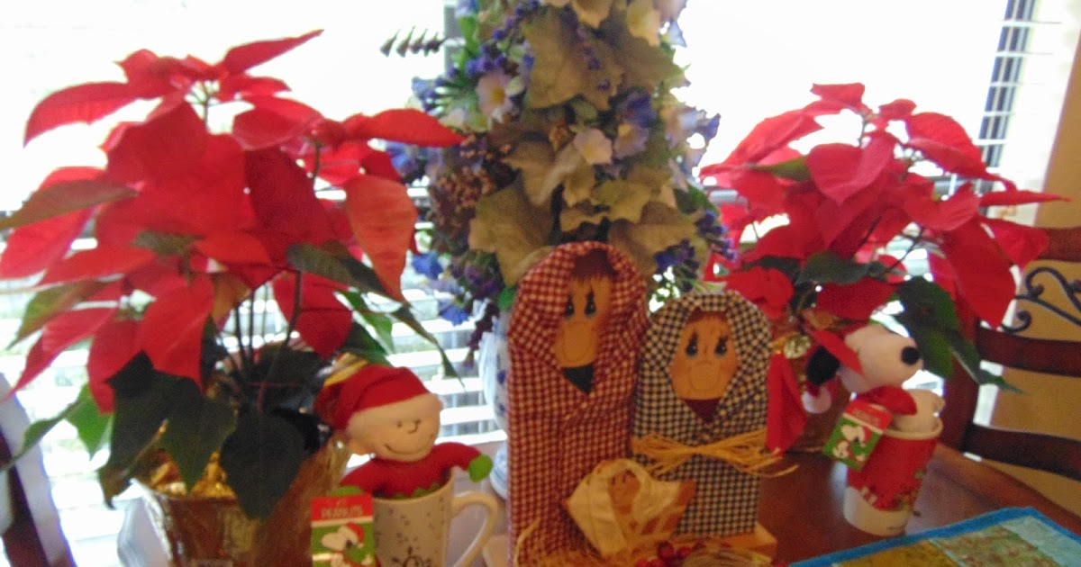 Ducks In My Pool and other stories...... Meaning of Poinsettias at