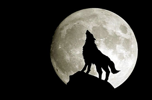 Arti Mimpi Makan Ceker Ayam Menurut Primbon Jawa Pendapat Ulama Serta Adab Bermimpi Buruk Pembahasan Makna Dari Sebuah Mimpi