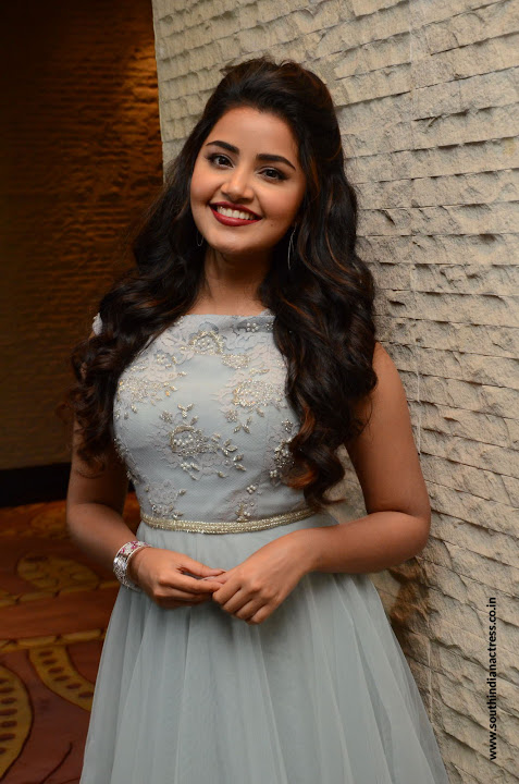 Anupama Parameswaran at Vunnadi Okate Zindagi Pre Release