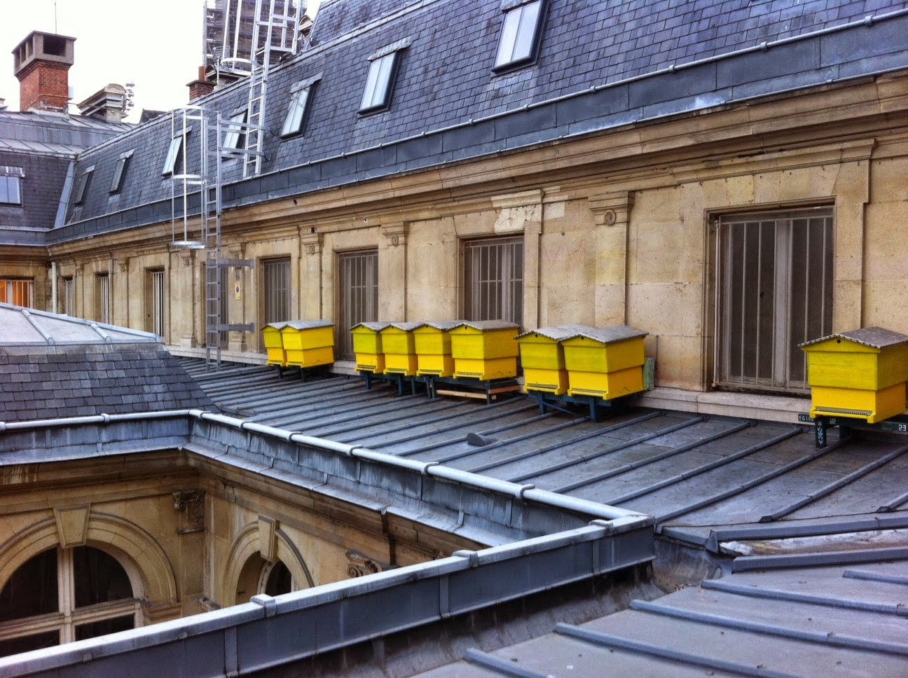 Rucher de la Mairie du 4 - Dans le Marais