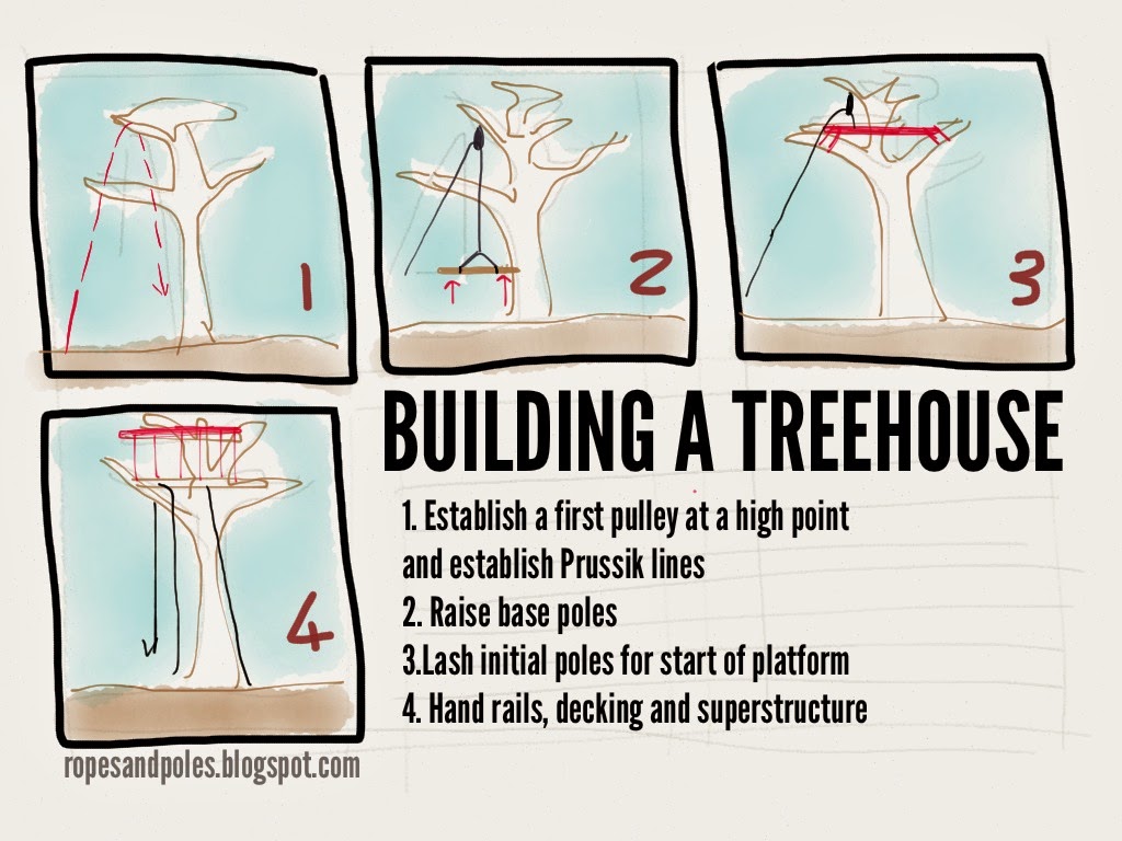 Ropes and Poles Building your first treehouse