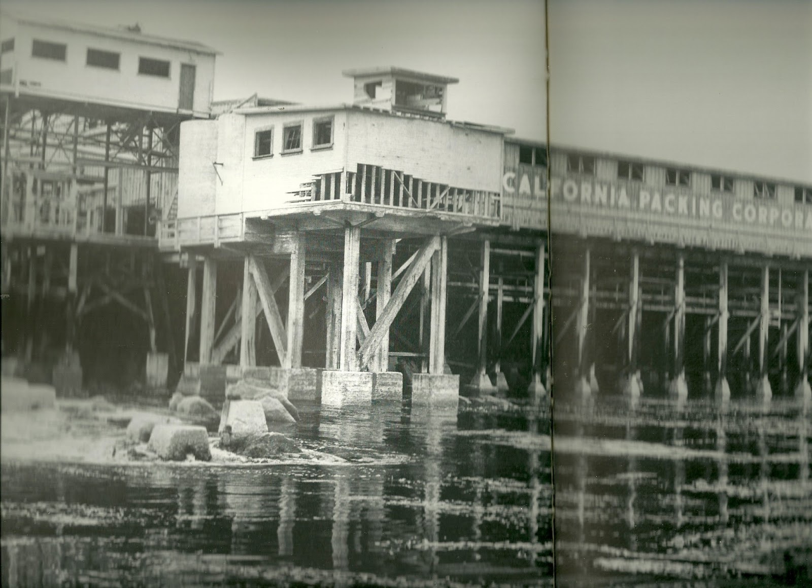 Cannery row essay picture