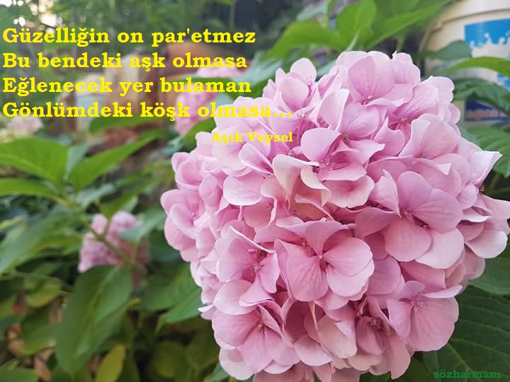 Asik Veysel In Hayati Ve Siirleri Www Sozharmani Com