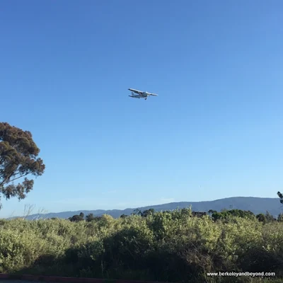small plane coming in for landing near Palo Alto Duck Pond in Palo Alto, California