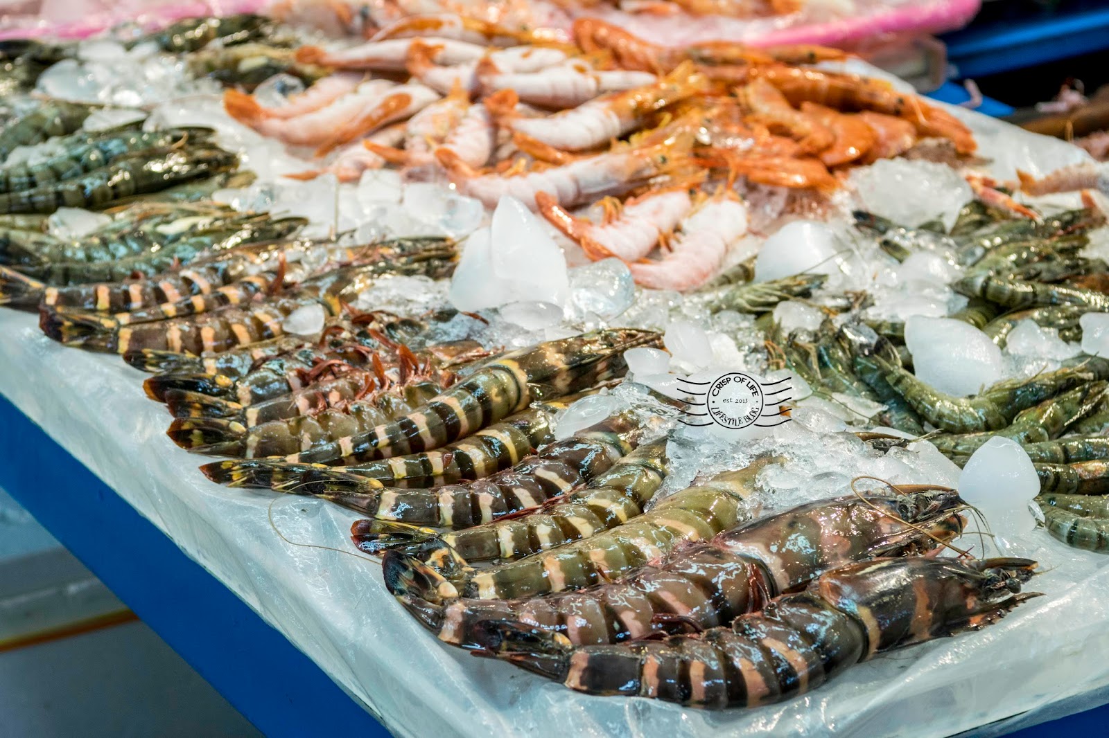 Jagalchi Fish Seafood Market South Korea Busan