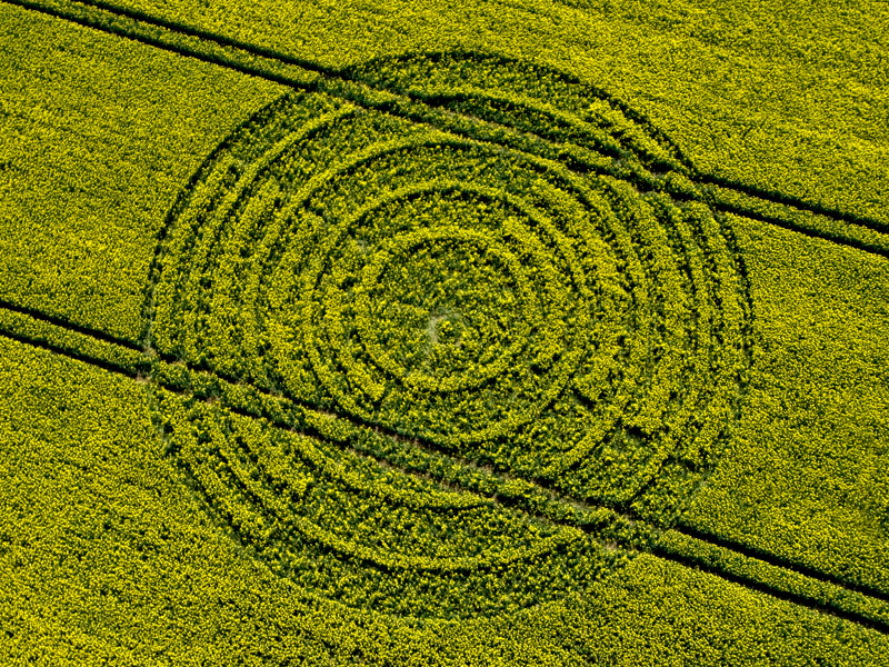 Круги на поле телеграмм. Круги на полях. Круги на полях со спутника. Круги на полях схемы. Самые красивые круги на полях.