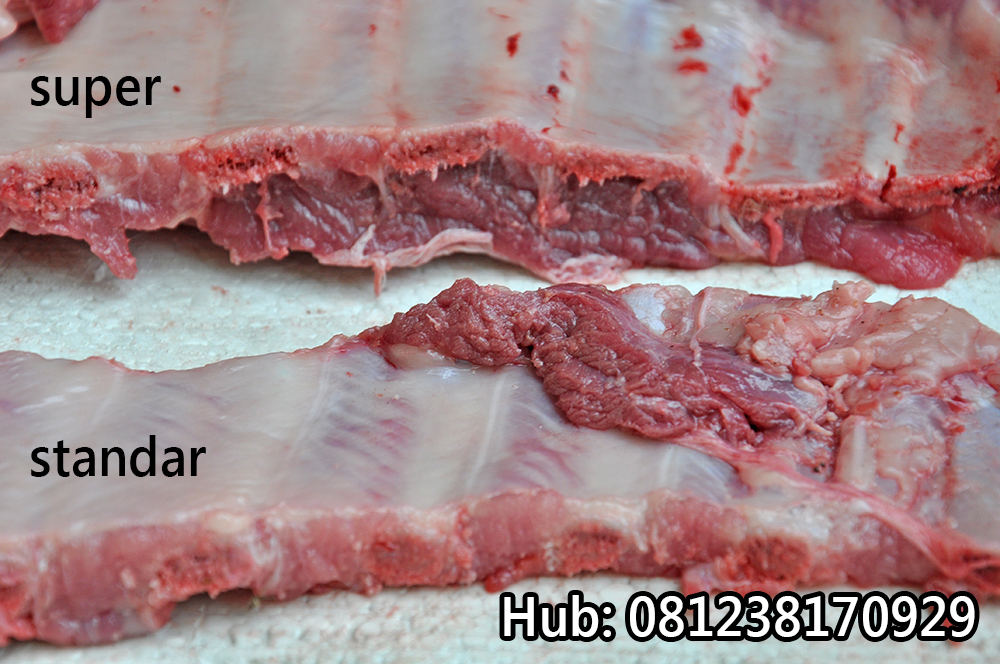 Distributor Iga Babi Supplier Pork Ribs