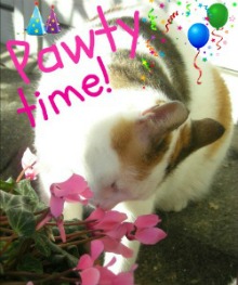 KITTY PARTY!!!!