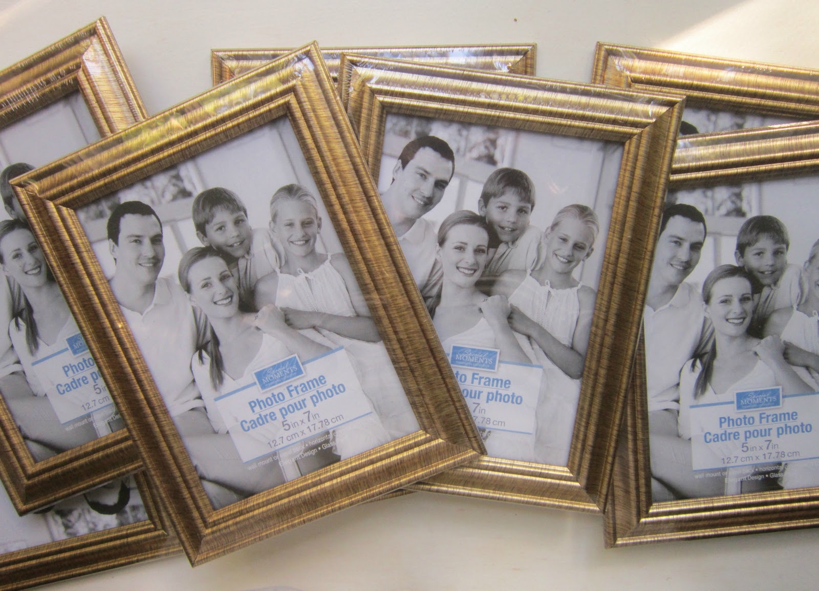 Family Dollar Ormond Beach Dollar Store Frames
