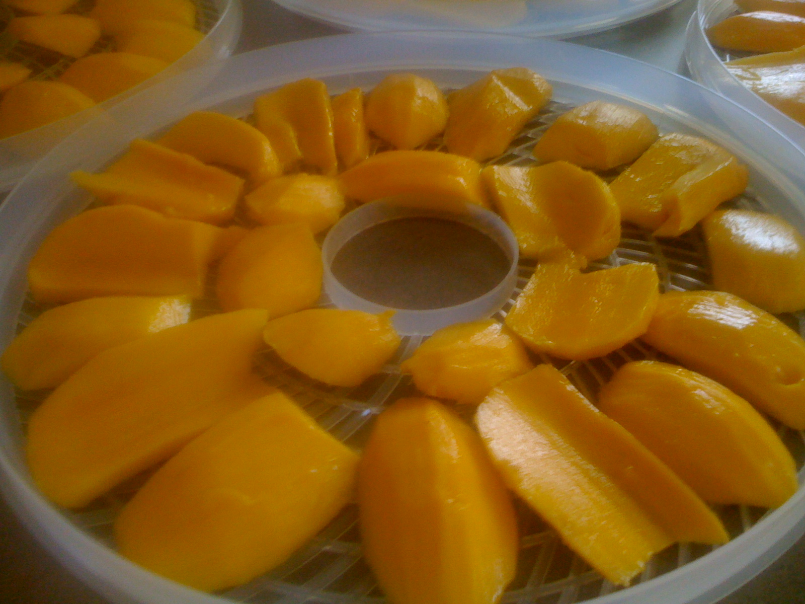 MY FOOD TRIPS BLOG DEHYDRATED MANGOES (DRIED MANGOES)