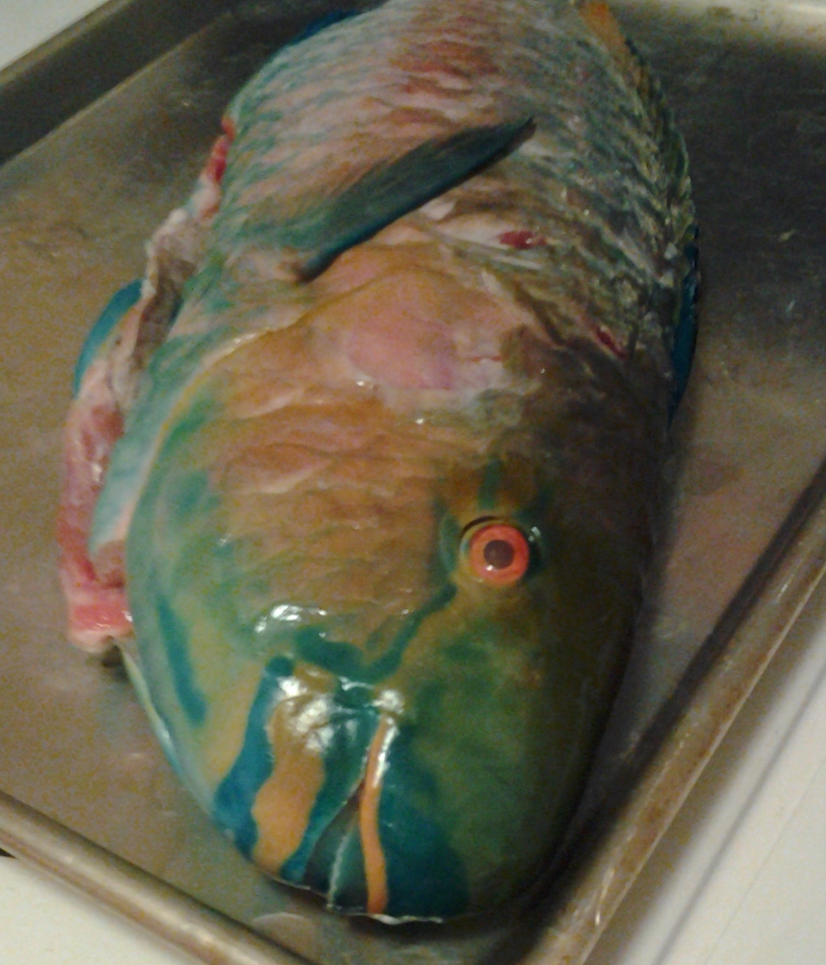 Steamed Fish Chinese Style (Uhu Parrot Fish)