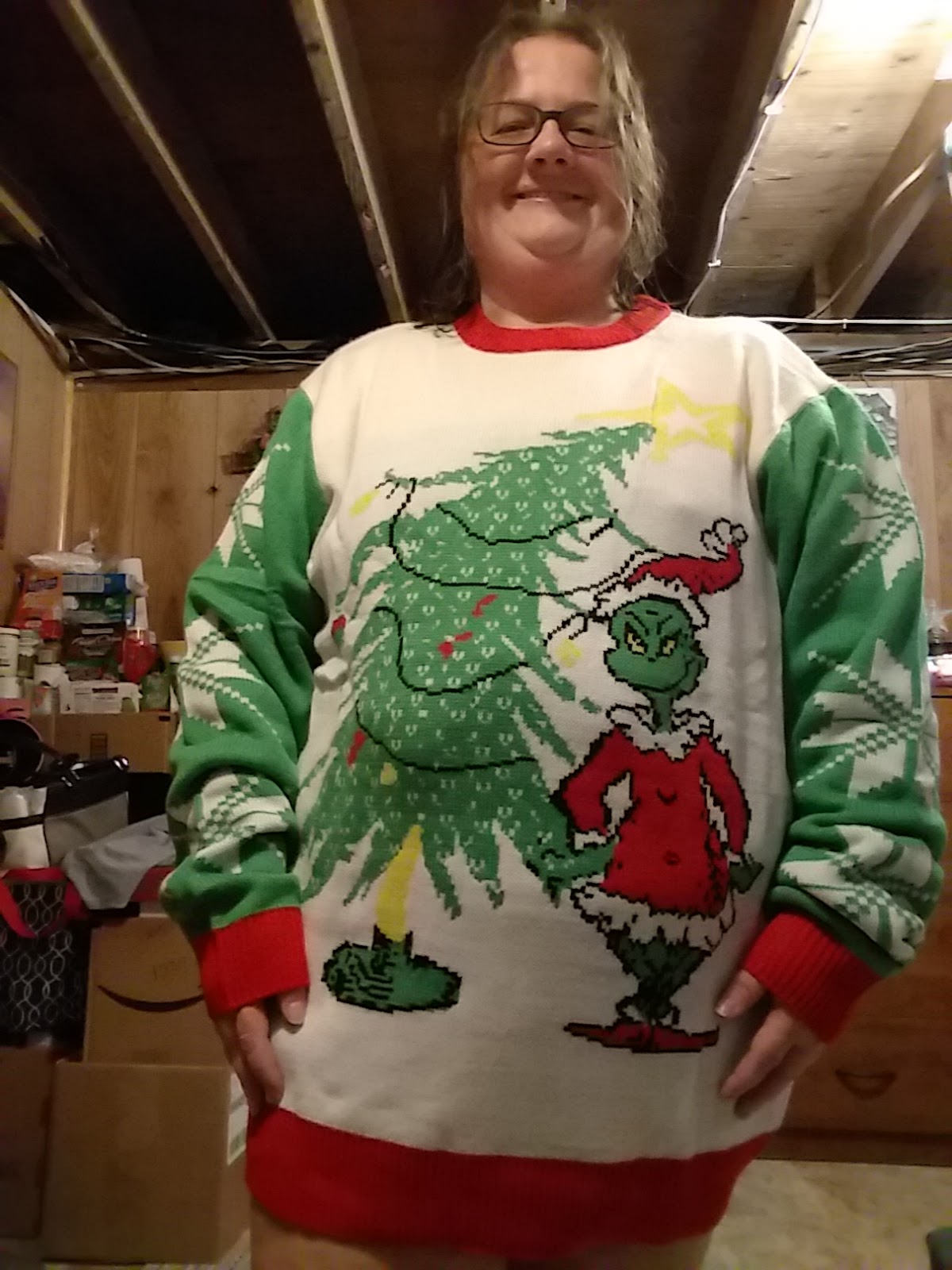 Dr Seuss Womens Ugly Christmas Sweater