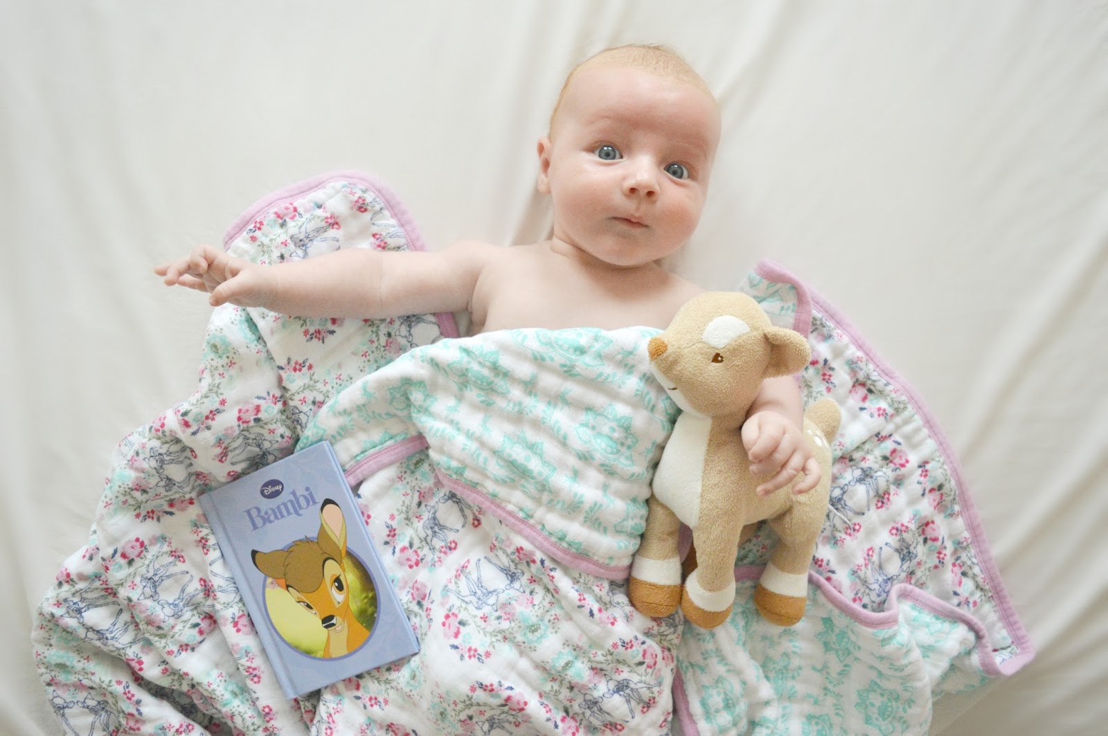 aden and anais winnie the pooh dream blanket