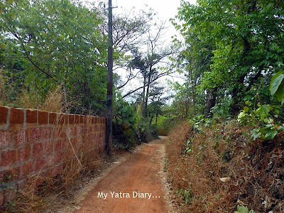 Village track of Kannur, Kerala