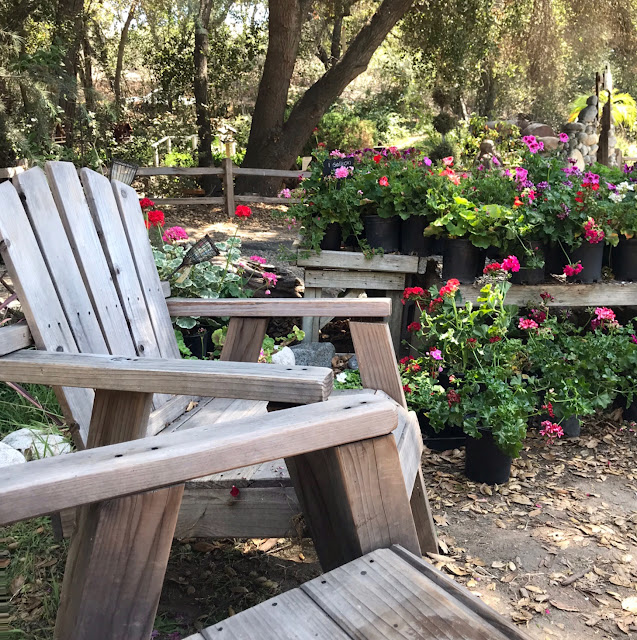 The importance of sitting still and planning your day - Life on Lemon Lane