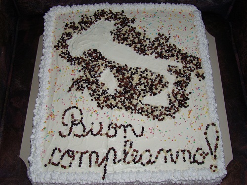 Tort "Harta Italiei"