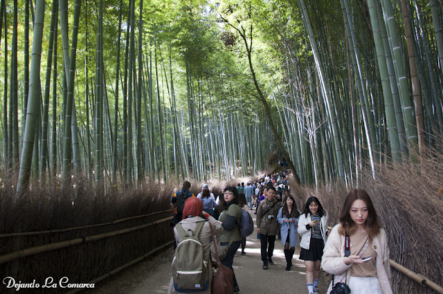 Día 14 - Kyoto (Arashiyama) - Japón primavera 2016 - 18 días (con bajo presupuesto) (4)