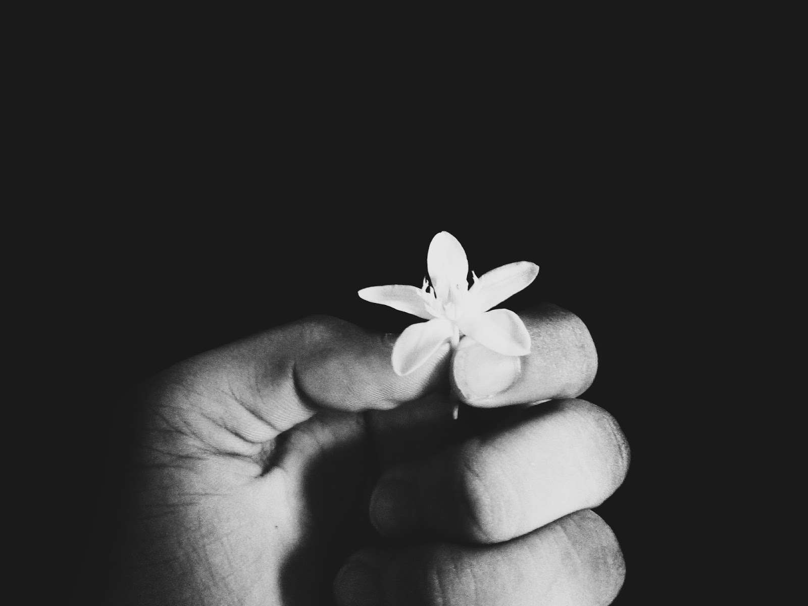 How To Create A Black Background Photo