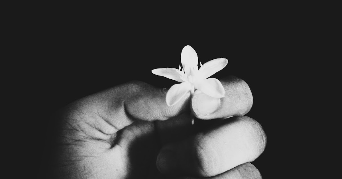 How To Create A Black Background Photo