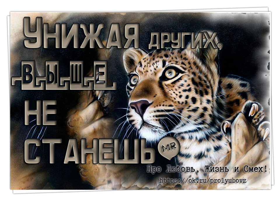 Унижая других выше не станешь картинки