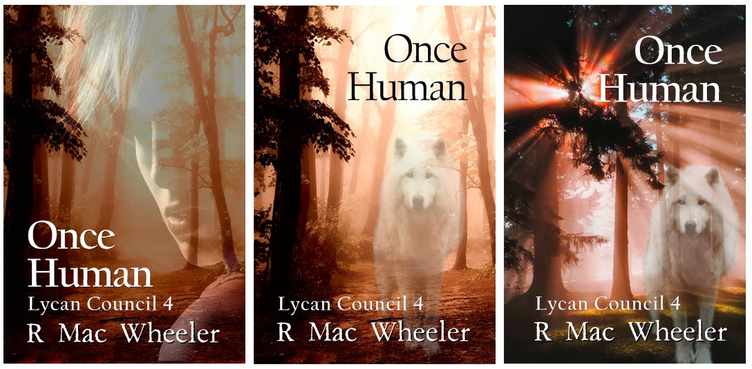 two wheeler mac wheel