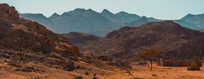 Safari Tours in Hurghada Safari Tours in Hurghada