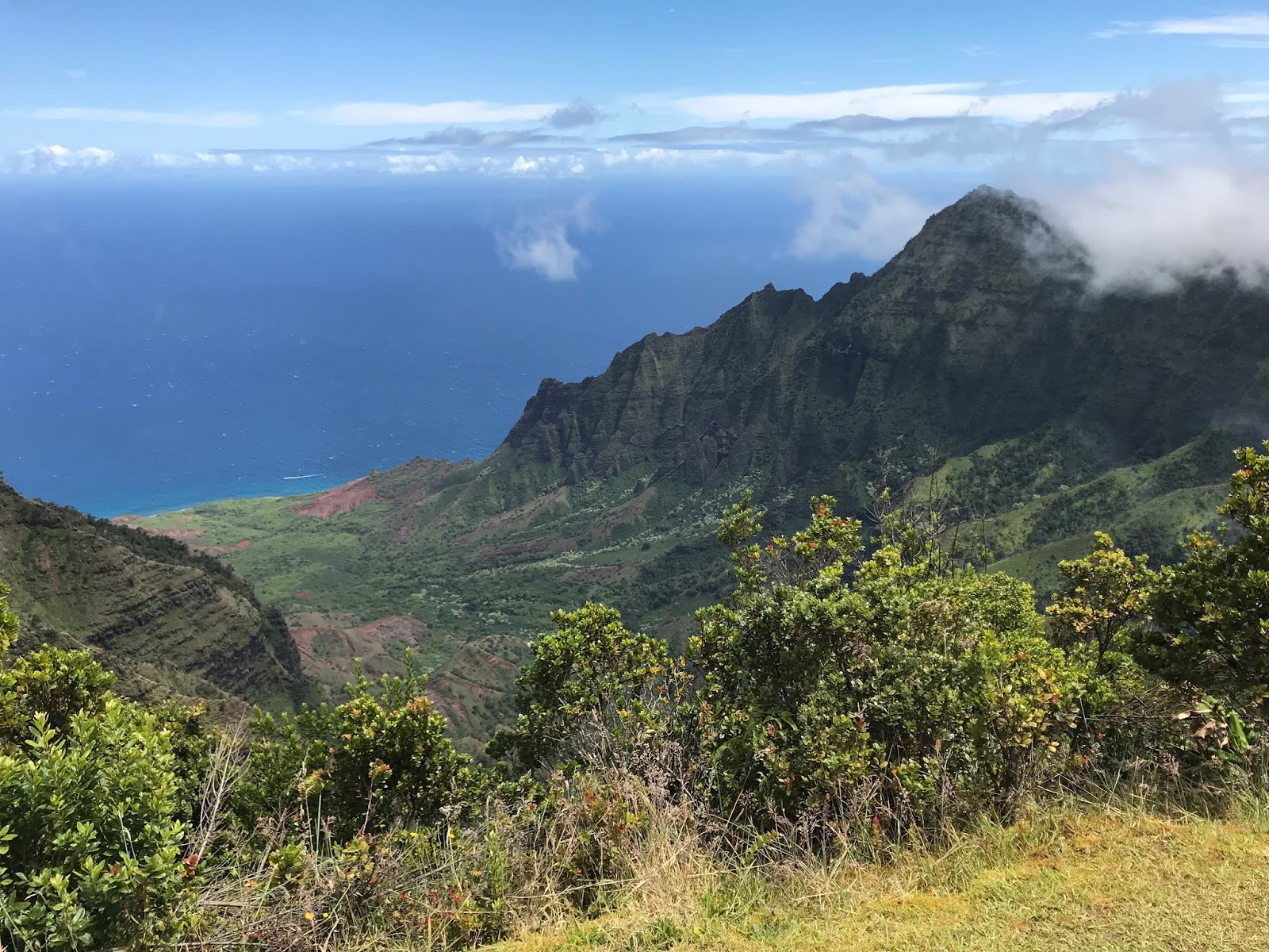 tenkarafisher Kauai Trout