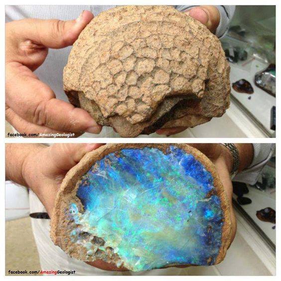 The opal is the National Gemstone of Australia. Australia currently produces approximately 95 per cent of the world’s precious opal and probably has almost all of the world’s opal reserves.