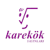 Karakök Yayınları 2019 Kİitapları PDF
