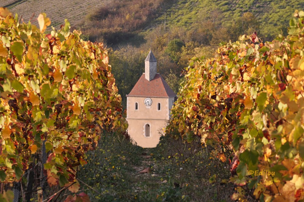 l'éGLISE DE JUSSY vue de la vigne, Jussy's church from the vineyard, церковь Жюсси