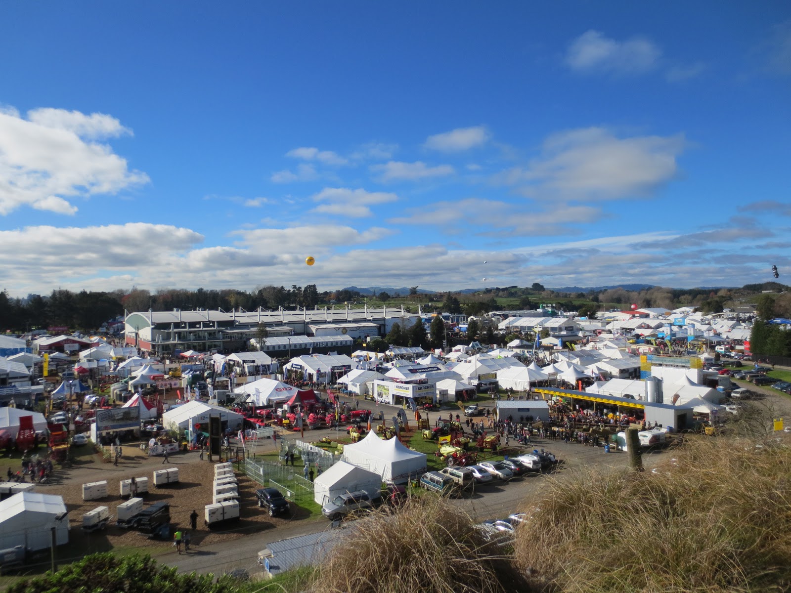 PA Farm Girl Adventures Field Days