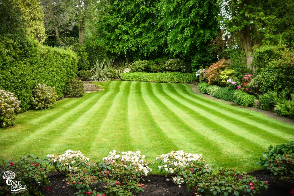 Domestic Garden Maintenance Melbourne Suitable Season for Domestic