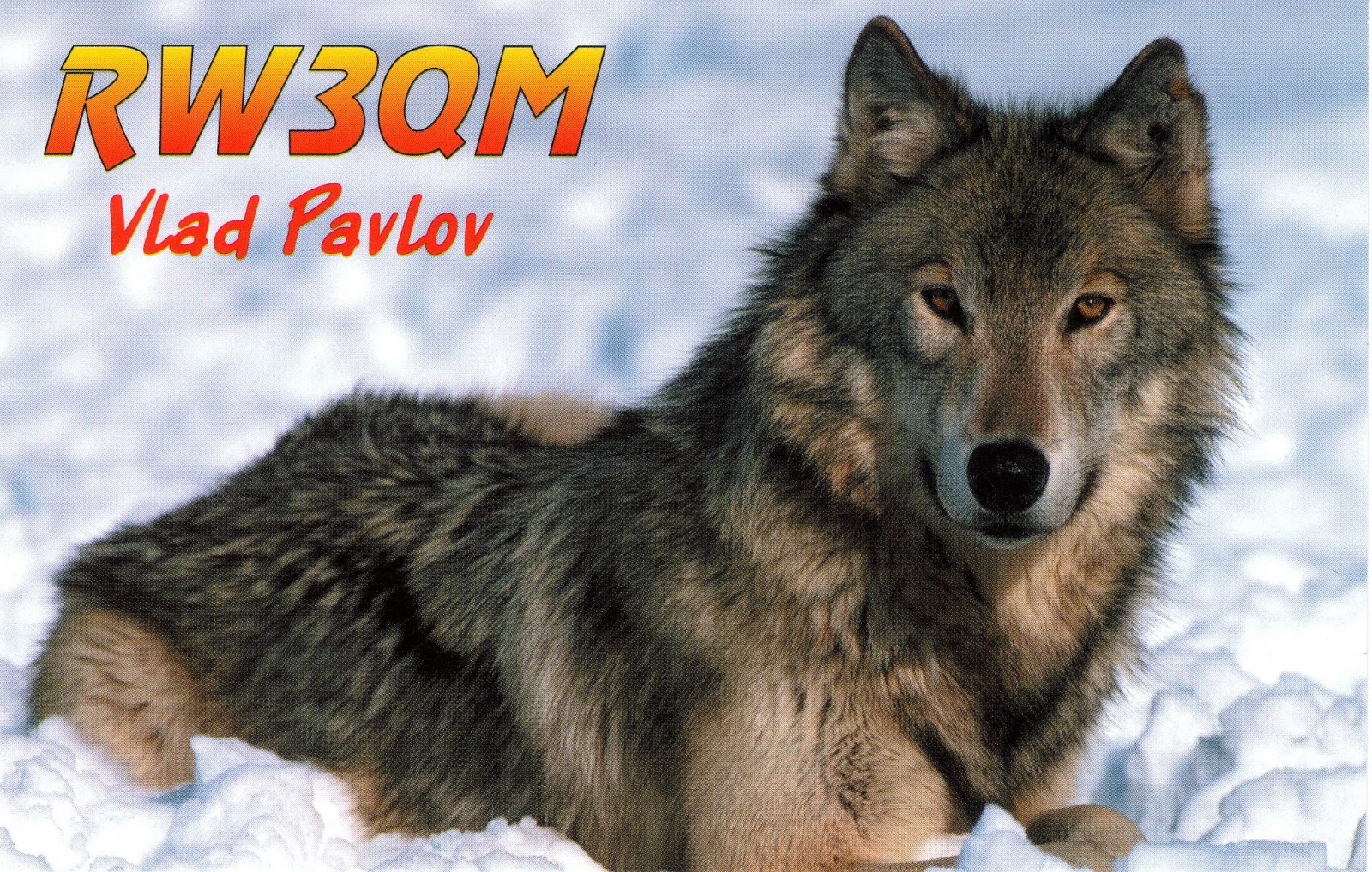 3w3rr Tyuremnaya Dxpedition Rw3qm