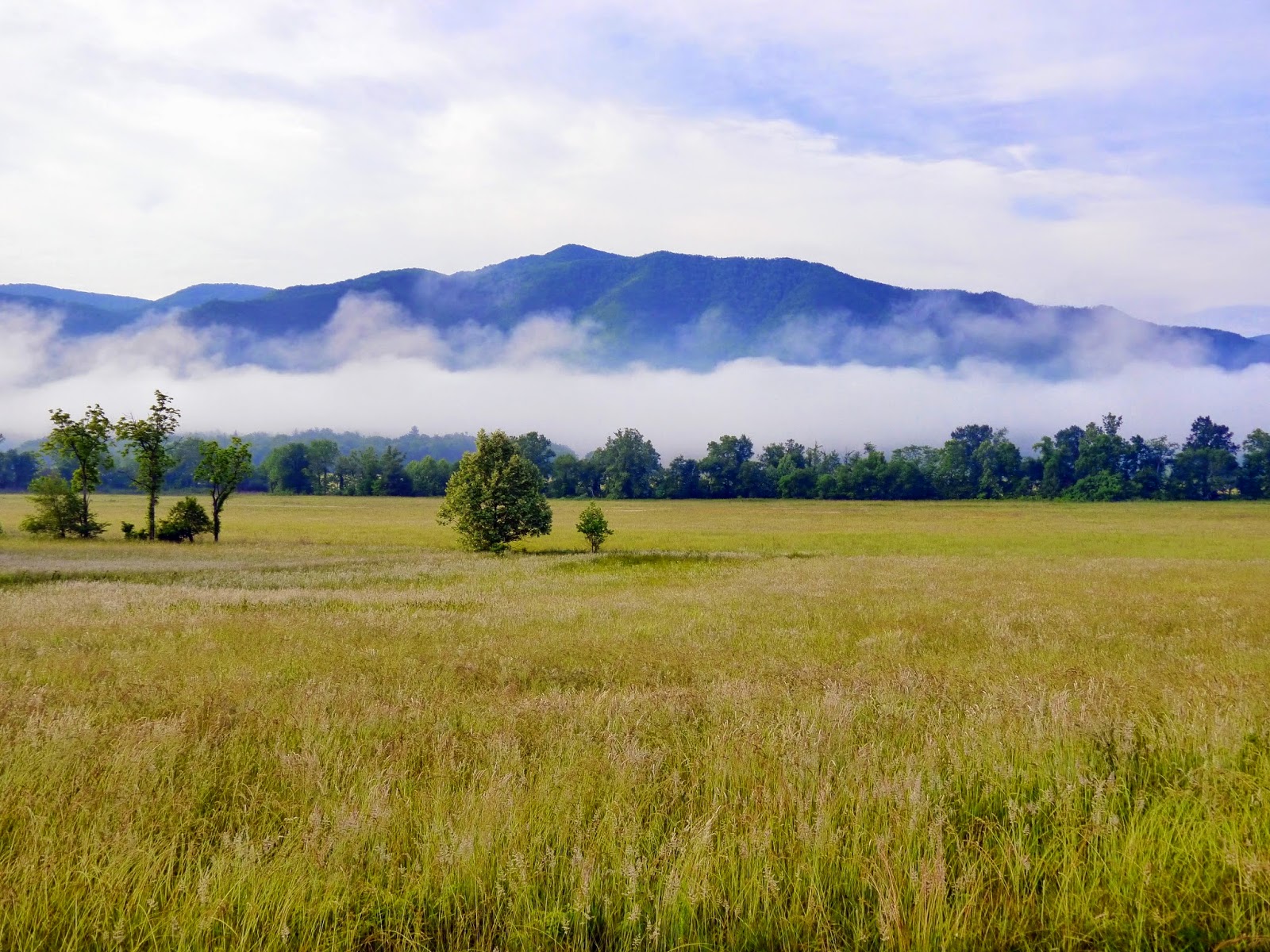 American Travel Journal Cades Cove Loop Road from a Bicycle