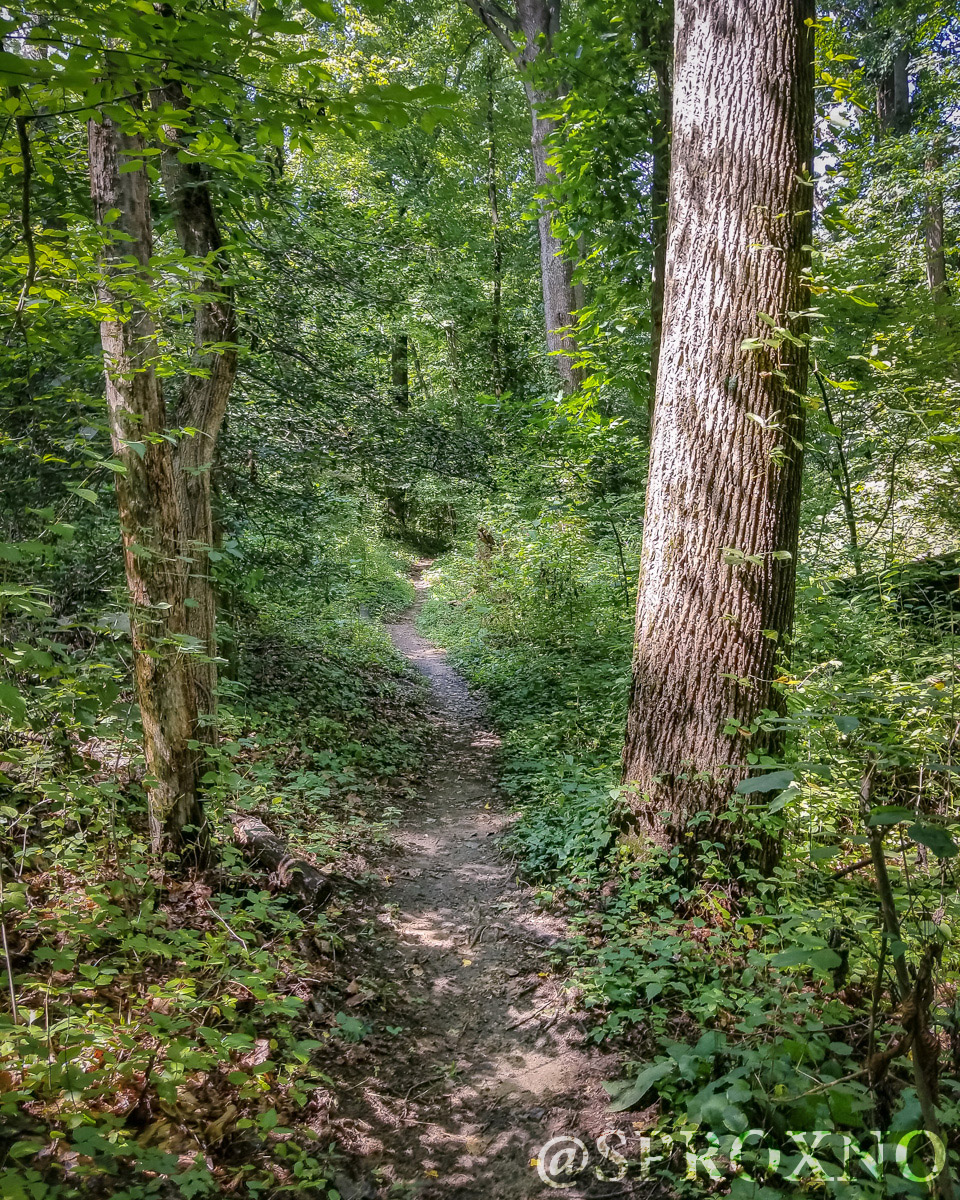 Woods of Wenonah Trail Pushing Myself
