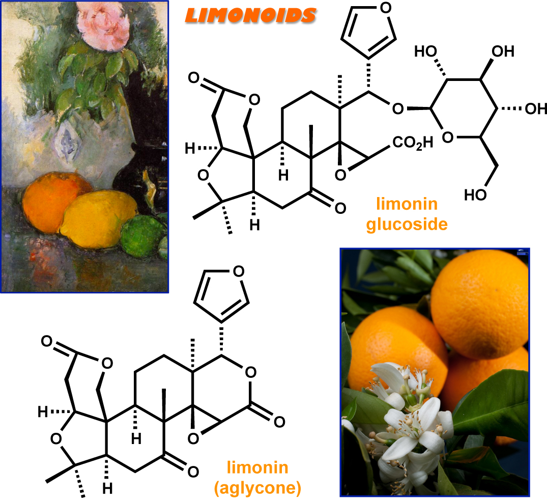 modern steroid science Citrus Limonin Glucoside Supplementation