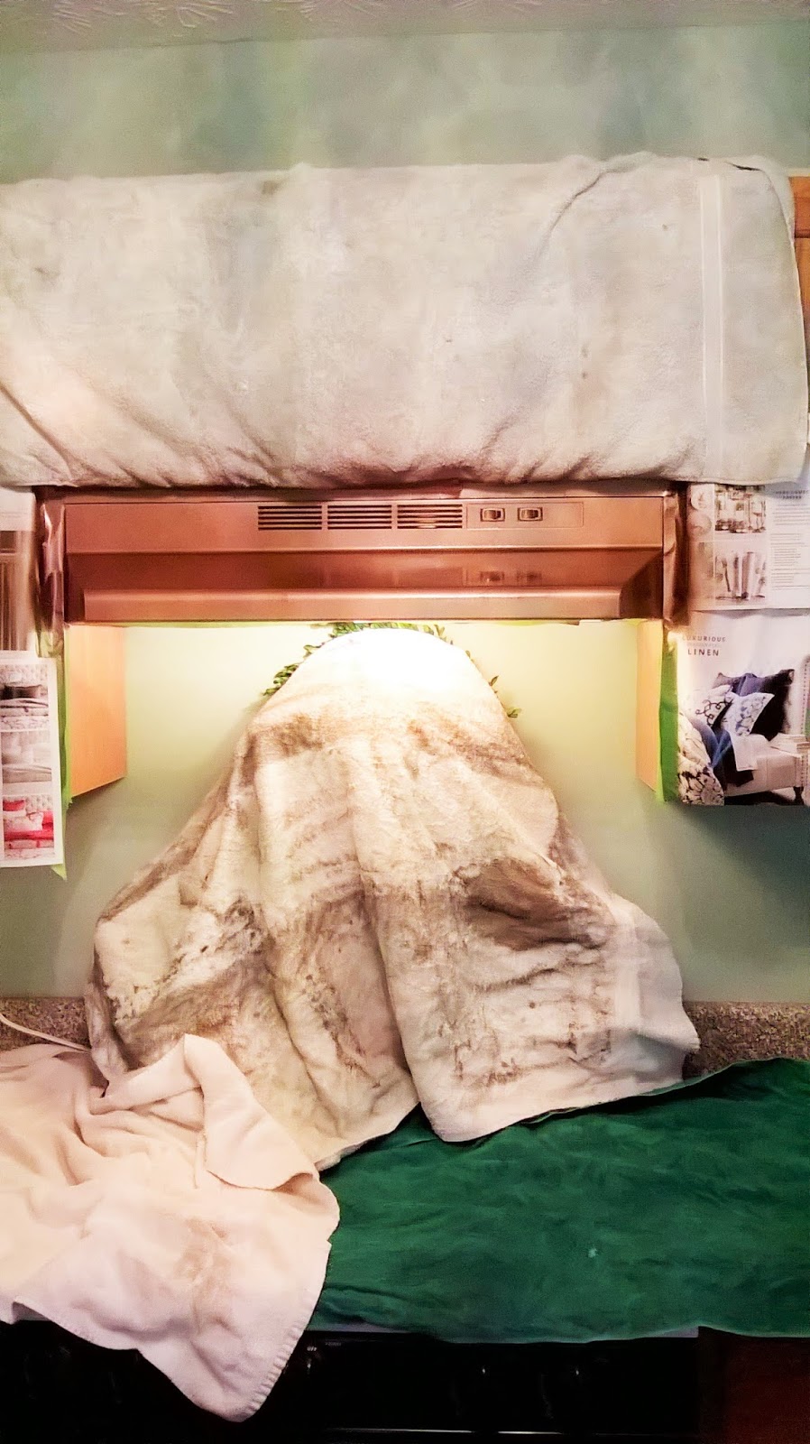 Two Seventy Four Spray Paint for the Ugly Range Hood