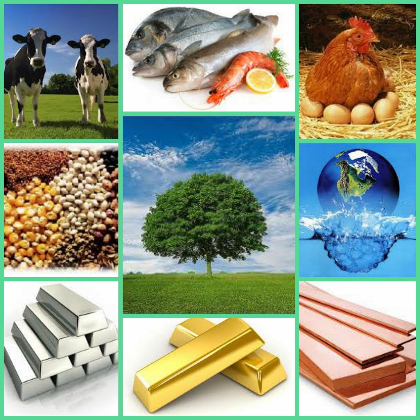 YEAR 3 PRIMARY SECTOR