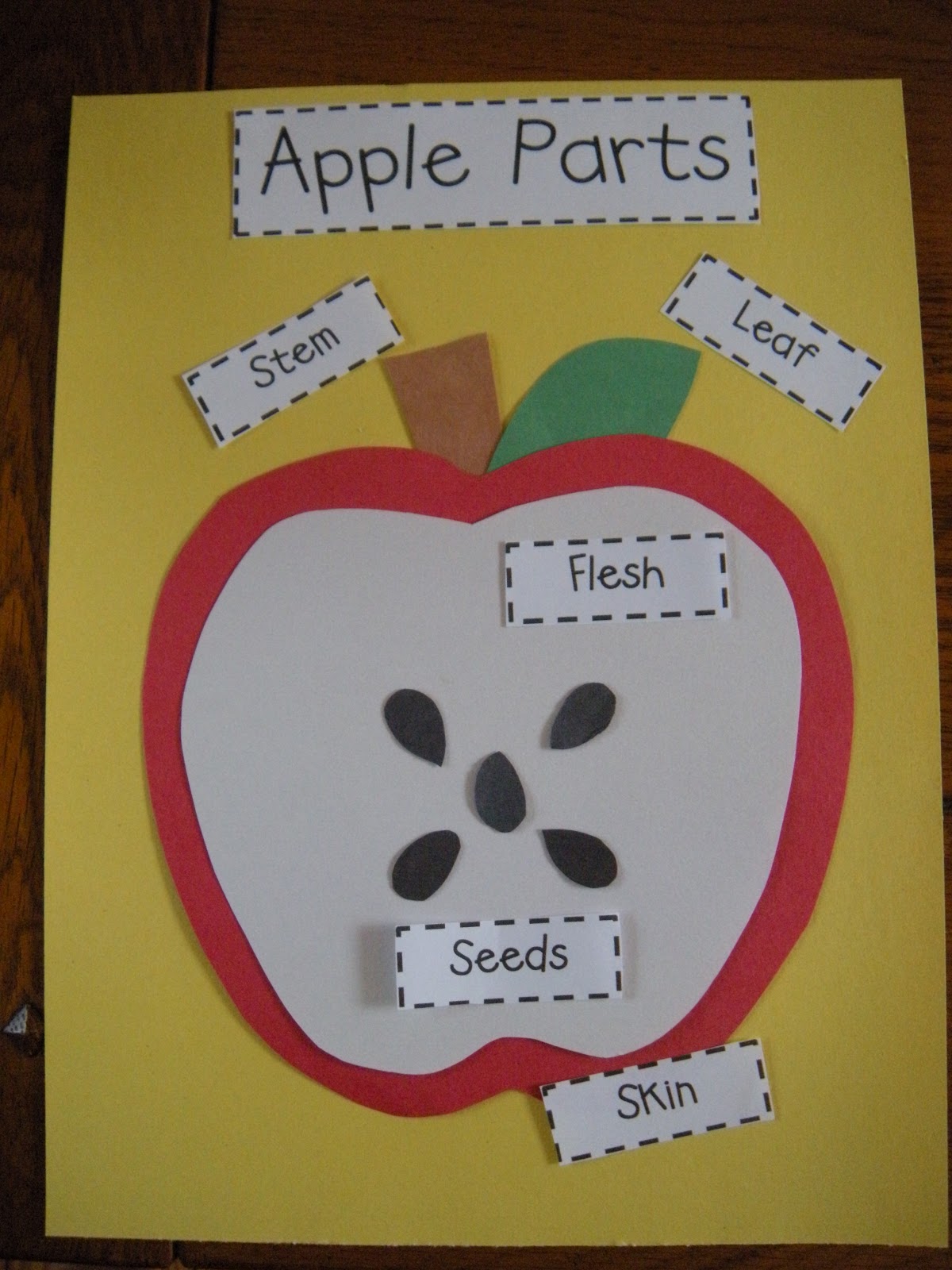 DSCN3828.JPG (1200×1600) | Apple preschool, Apple lessons, Apple