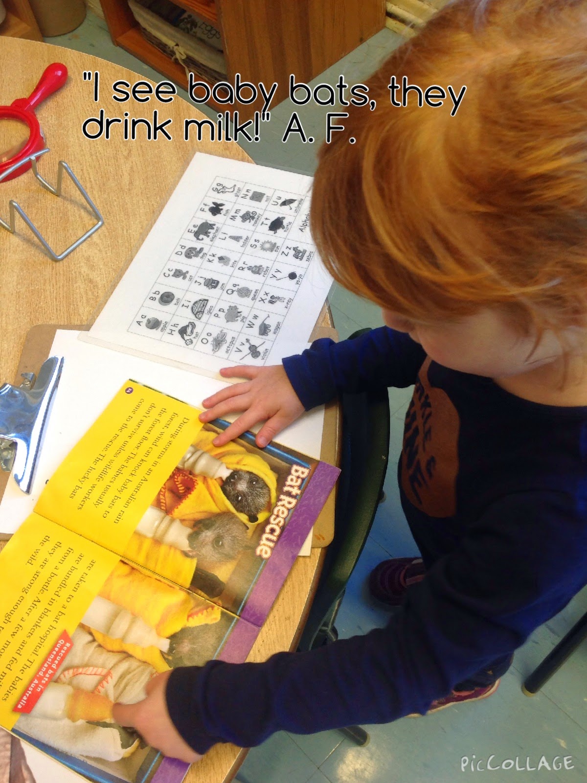 Wonders in Kindergarten: Bats have fur, birds have feathers! Using a
