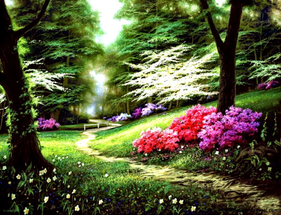 Beautiful Spring Forest Wallpaper